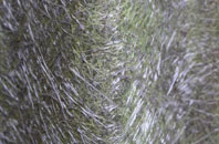 Bower Hinton fibreglass roof work